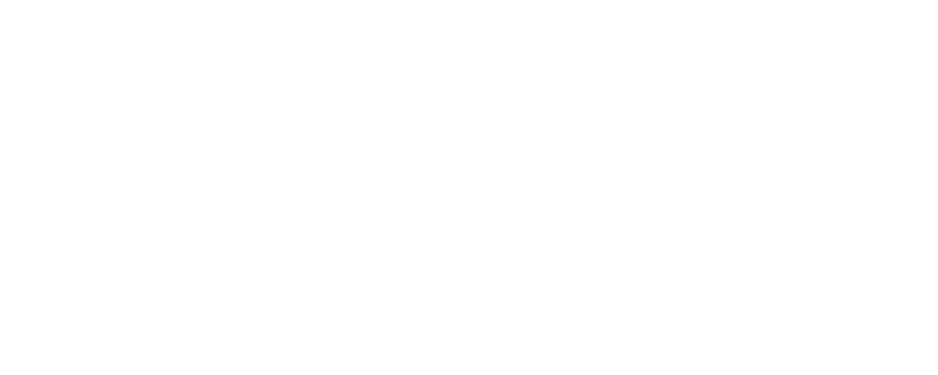 eFreight-Logo